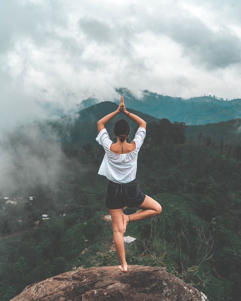 Asana Loft